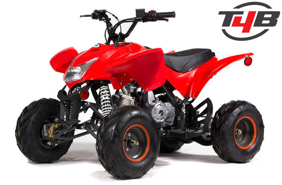 T4B MINI BEAST ATV 110cc - ANY COLOR