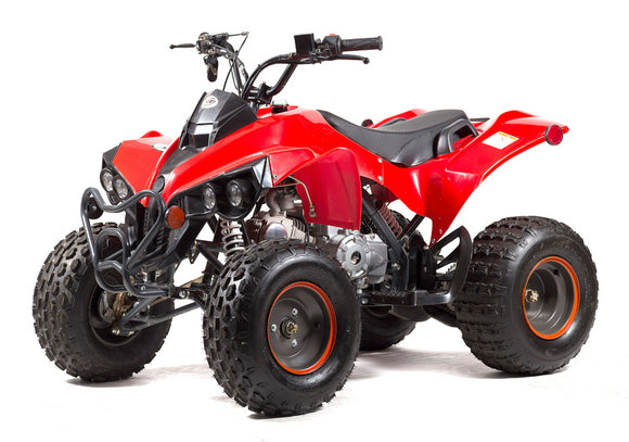 T4B REBEL 125cc ATV - ANY COLOR